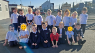 Primary 2 - David Attenborough Class